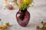 گلدان شیشه ای آمیتیس کایلی
