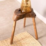 استند چوبی کاکتوس