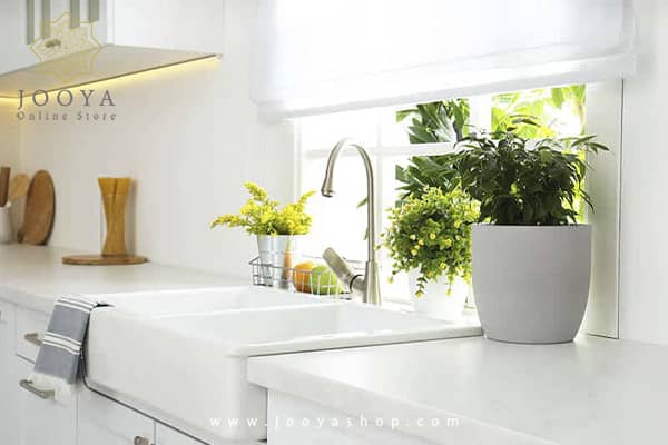 8 تا از بهترین گیاهان آپارتمانی که در هر آشپزخانه ای رشد می کنند