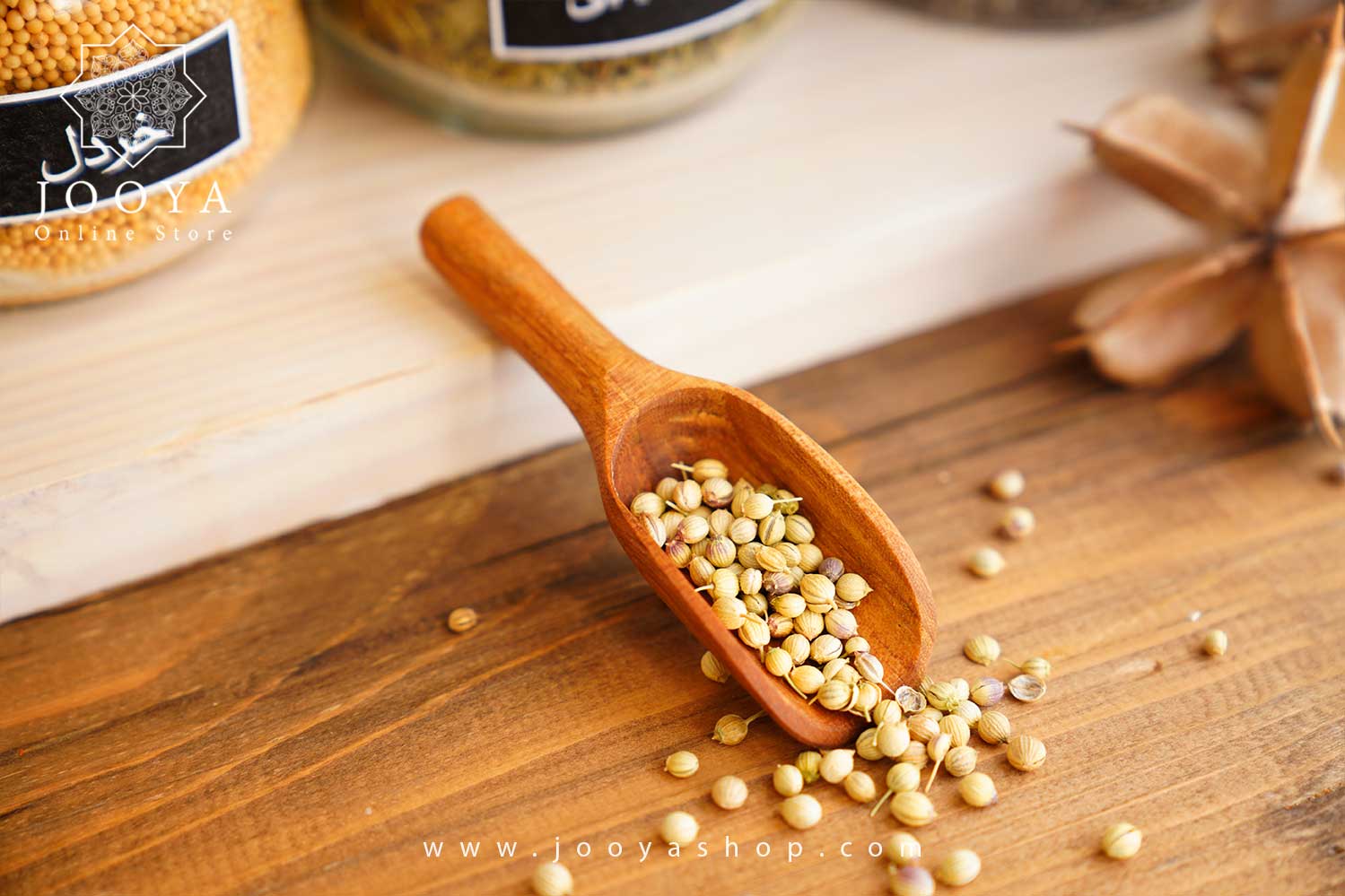 CH50 1 قاشق ادویه سوک کوچک با چوب راش مدل یک - Image 1