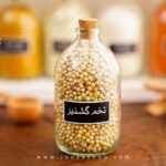 تخم گشنیز