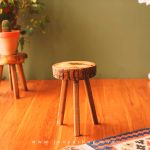 قیمت استند چوبی پارنا