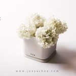 خرید گلدان بتنی مدل 115 با بهترین کیفیت در جویا