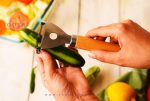 خرید پوست کن طرح 1 مدل گیسیا