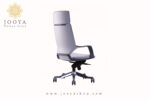 خرید صندلی مدیریتی پشت پلاستیک آپولو M215