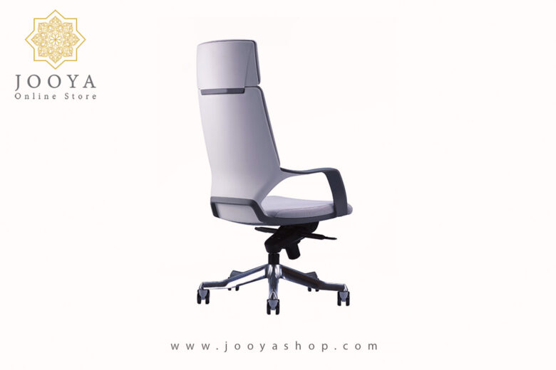 خرید صندلی مدیریتی پشت پلاستیک آپولو M215