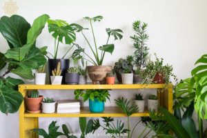 تاثیر فضای سبز بر روحیه