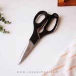 قیچی مرغ شنگیا