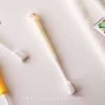 مسواک فانتزی گلانه